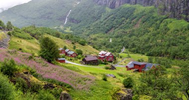 Ülke yaz manzara, Norveç