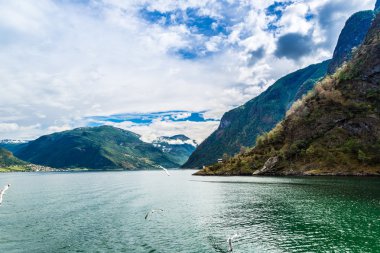 Sognefjord, Norveç