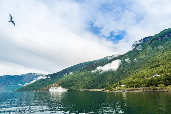 Sognefjord in norwegen — Stockfoto