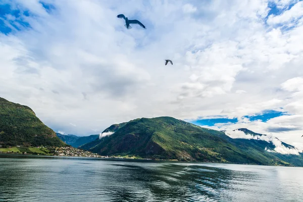 Sognefjord v Norsku — Stock fotografie