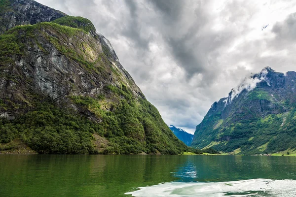 Sognefjord i Norge - Stock-foto