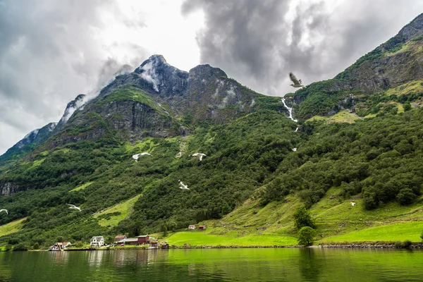 Sognefjord στη Νορβηγία — Φωτογραφία Αρχείου