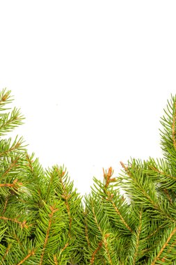 Noel arkaplanı. Eve çerçevesi