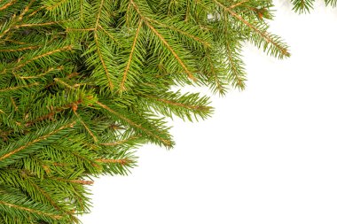 Noel arkaplanı. Eve çerçevesi
