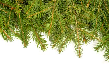 Noel arkaplanı. Eve çerçevesi