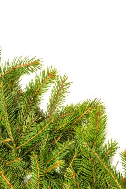 Noel arkaplanı. Eve çerçevesi