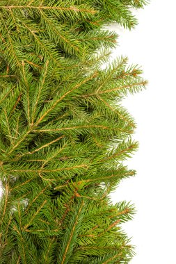 Noel arkaplanı. Eve çerçevesi