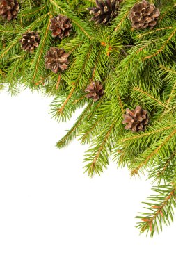 Noel arkaplanı. Eve çerçevesi