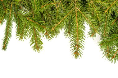 Noel arkaplanı. Eve çerçevesi