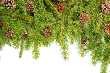 Noel arkaplanı. Eve çerçevesi