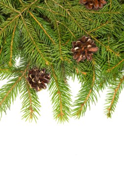 Noel arkaplanı. Eve çerçevesi