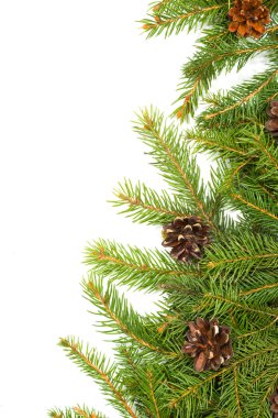 Noel arkaplanı. Eve çerçevesi