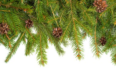 Noel arkaplanı. Eve çerçevesi