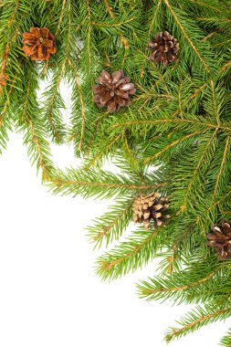 Noel arkaplanı. Eve çerçevesi