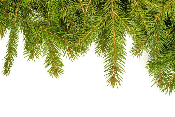 Noel arkaplanı. Eve çerçevesi