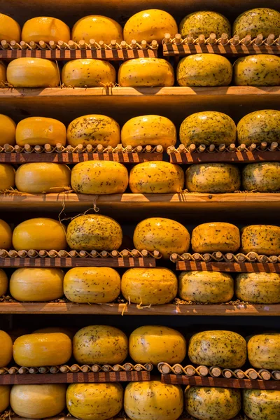 Rodas de queijo na loja — Fotografia de Stock