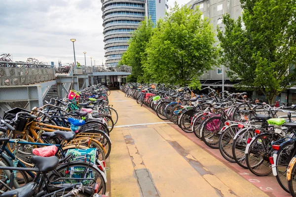 Parkeerplaats voor fietsen in Amsterdam — Stockfoto