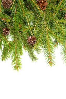 Noel arkaplanı. Eve çerçevesi