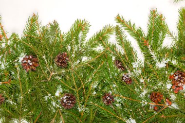 Noel arkaplanı. Eve çerçevesi