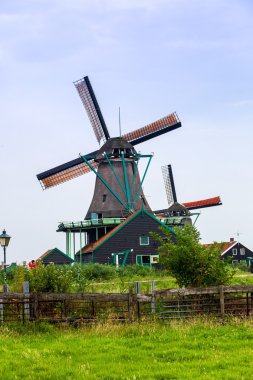 Hollanda'da Rüzgar değirmenleri