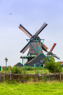 Hollanda'da Rüzgar değirmenleri