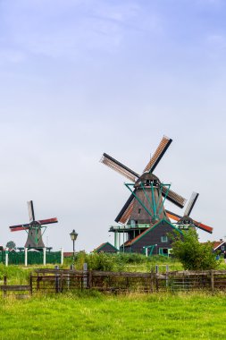 Hollanda'da Rüzgar değirmenleri