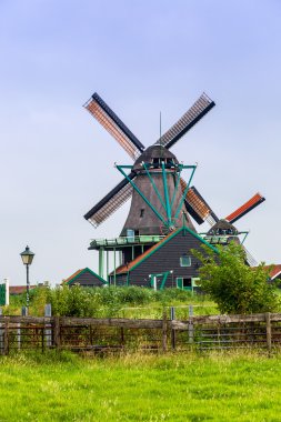Hollanda'da Rüzgar değirmenleri
