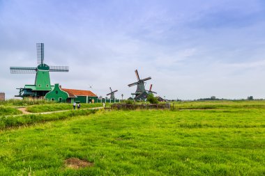 Hollanda'da Rüzgar değirmenleri