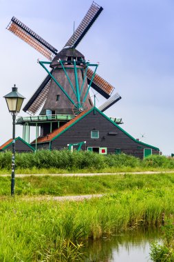 Hollanda'da Rüzgar değirmeni