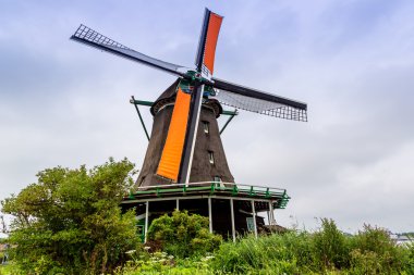 Hollanda'da Rüzgar değirmeni