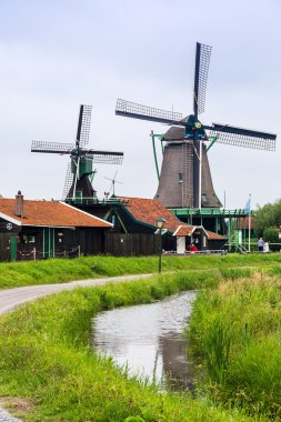 Hollanda'da Rüzgar değirmenleri