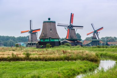 Hollanda'da Rüzgar değirmenleri