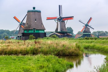 Hollanda'da Rüzgar değirmenleri