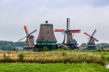 Hollanda'da Rüzgar değirmenleri