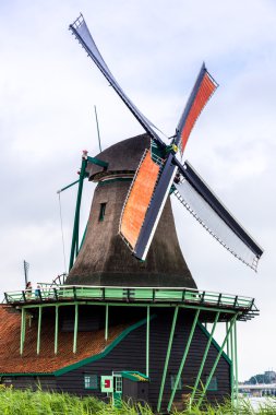 Hollanda'da Rüzgar değirmeni