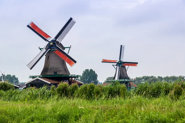 Vindmøller i Holland - Stock-foto