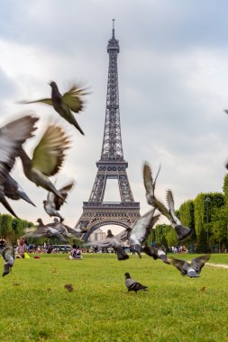 Paris 'teki Eyfel Kulesi