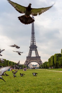 Paris 'teki Eyfel Kulesi