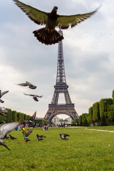 Paris 'teki Eyfel Kulesi