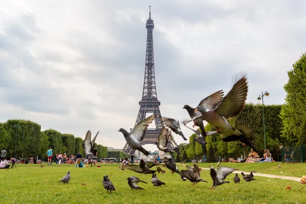 Eiffel torony Párizsban — Stock Fotó