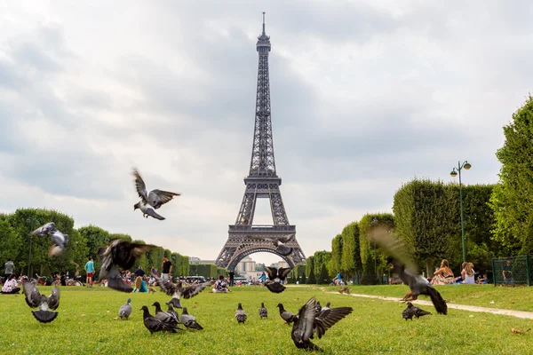 Eiffel tower in Paris — Stock Photo, Image