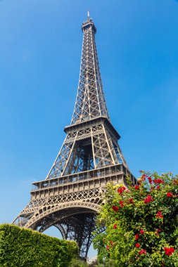 Paris 'teki Eyfel Kulesi