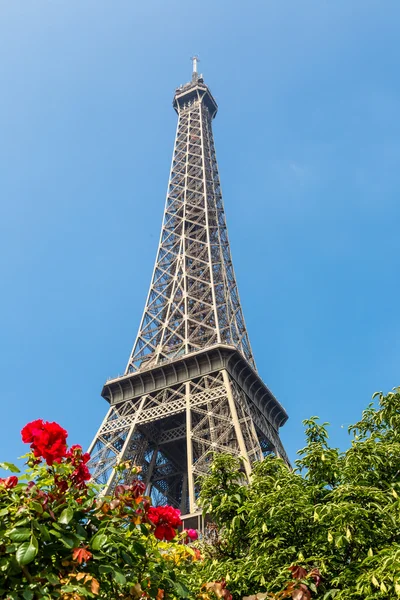 Eiffeltornet i Paris — Stockfoto