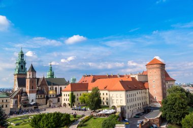 Krakow 'daki Wawel Katedrali