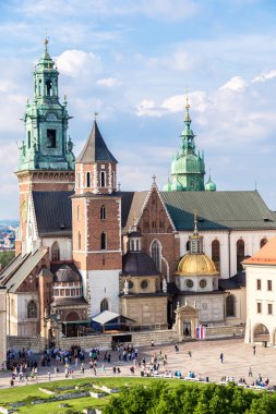 Krakow 'daki Wawel Katedrali