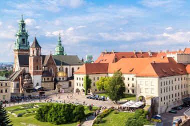 Krakow 'daki Wawel Katedrali