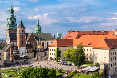 Krakow 'daki Wawel Katedrali
