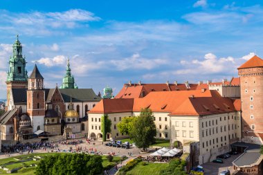 Krakow 'daki Wawel Katedrali