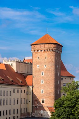 Krakow 'daki Wawel Katedrali