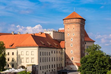 Krakow 'daki Wawel Katedrali